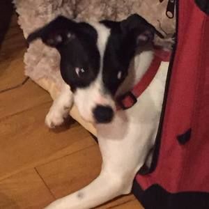 Meet your Posher, Deb